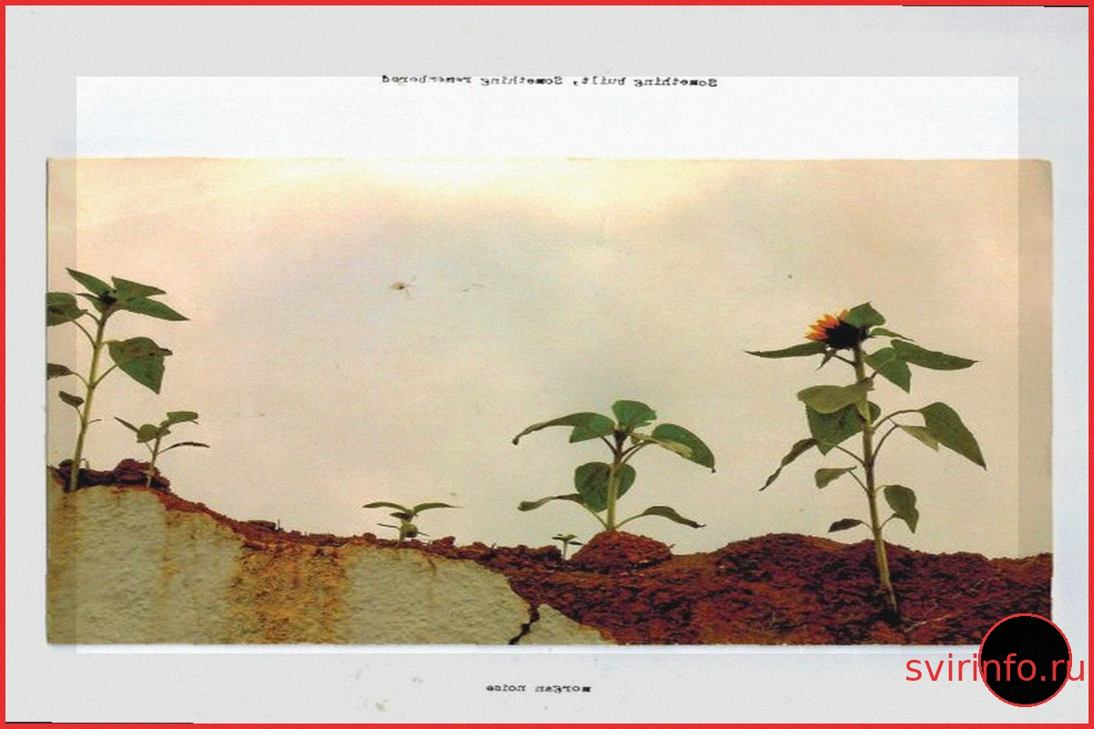 Morgan Noise Анонсируют Дебютный Альбом Something Built, Something Remembered и Выпускают Сингл «Silly Me»