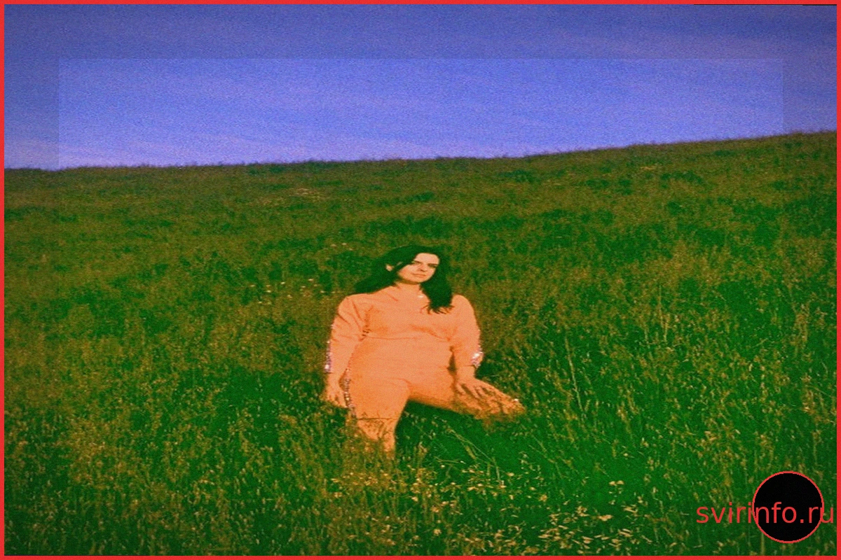 Spacemoth – “Telepathic Butterflies”
